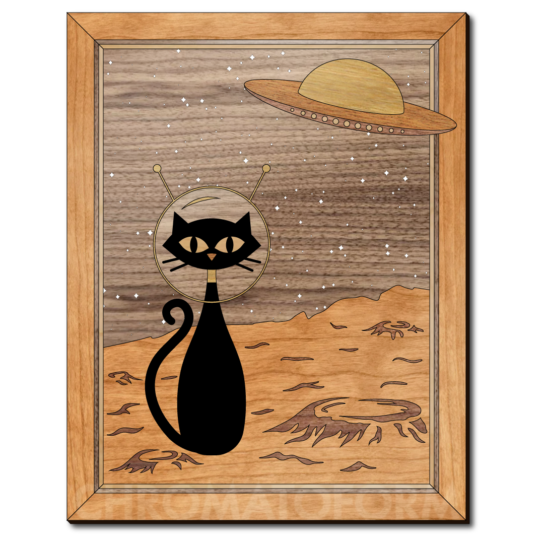 "Copurrnicus 2: Strange New World" - 11"x14" Wood & Acrylic Marquetry